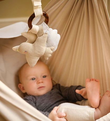 Moonboon Natbamser - Nature