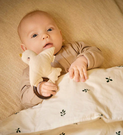 Moonboon Rangle - Fugl - Nature