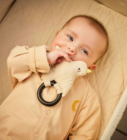 Moonboon Rangle - Fugl - Nature