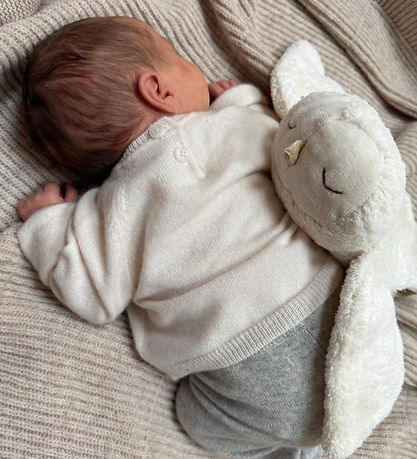 Senger Naturwelt Varmepude - Lille - Sne Ugle - Hvid