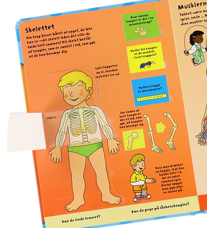 Forlaget Bolden Bog - Den Store Flapbog: Kroppen
