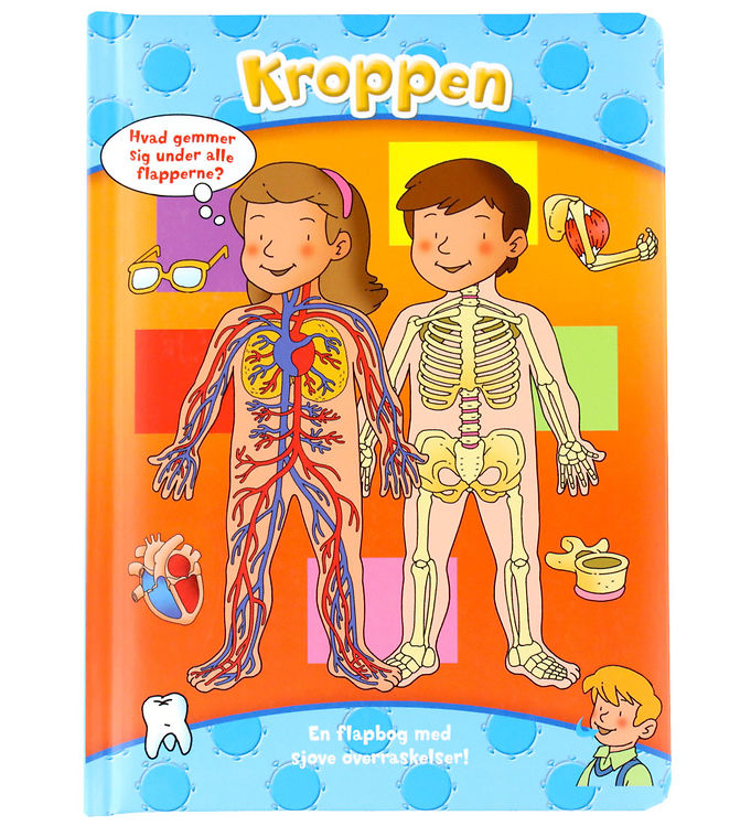 Forlaget Bolden Bog - Den Store Flapbog: Kroppen - DA