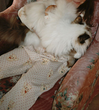 Konges Sløjd Sweatpants - Belli - Miao Amore