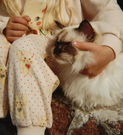 Konges Sløjd Sweatpants - Belli - Miao Amore