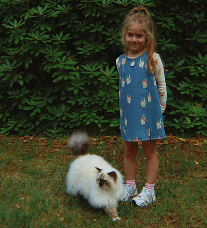 Konges Sløjd Spencer - Magot - Bow Kitty Denim