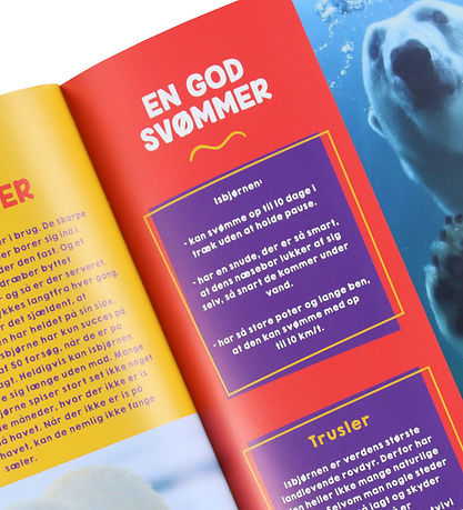 Forlaget Carlsen Bog - De Små Dyrenørder - Syv Fantastiske Dyr -