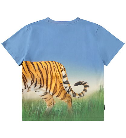 Molo T-shirt - Rubin - Tiger On Blue