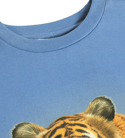 Molo T-shirt - Rubin - Tiger On Blue