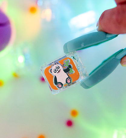 Glo Pals Sansekuber m. Lys - 6 Stk. - Zany Zoo