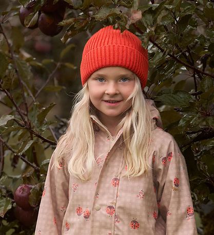 CeLaVi Hue - Uld/Bomuld - Summer Fig