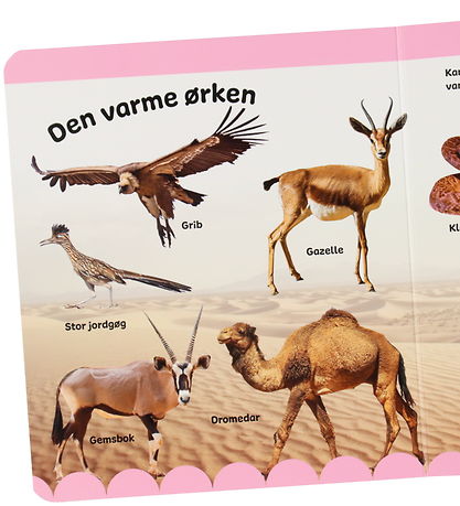 Forlaget Tukan Bog - Jeg Lærer Ord Om Dyr