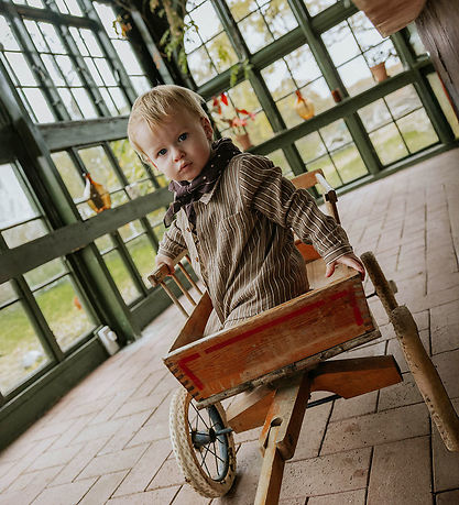 Fliink Overhemd - Elmo - Pijn Dark Stripe