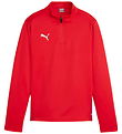 Puma Bluse - TeamGOAL Training 1/4 Zip - Rød