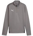 Puma Bluse - TeamGOAL Training 1/4 Zip - Cast Iron