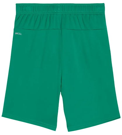 Puma Shorts - TeamGOAL JR - Sport Green