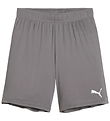 Puma Shorts - TeamGOAL JR - Cast Iron