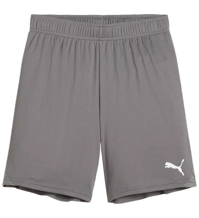 Puma Sportsshorts - TeamGOAL - Cast Iron m. Hvid