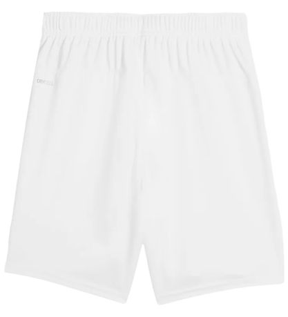 Puma Shorts - TeamGOAL JR - Hvid