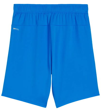 Puma Shorts - TeamGOAL JR - Electric Blue Lemonade