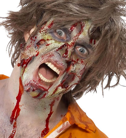 Smiffys Ansigtsmaling - Complete Zombie  - Brun/Grøn
