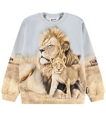 Molo Sweatshirt - Miksi - Leo Family