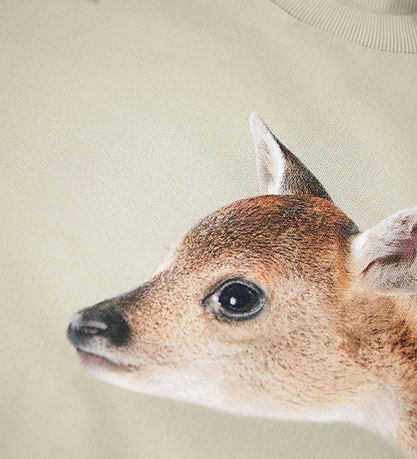 Molo Sweatshirt - Maxi - Forest Freinds