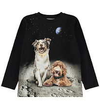 Molo Bluse - Reif - Moon Friends