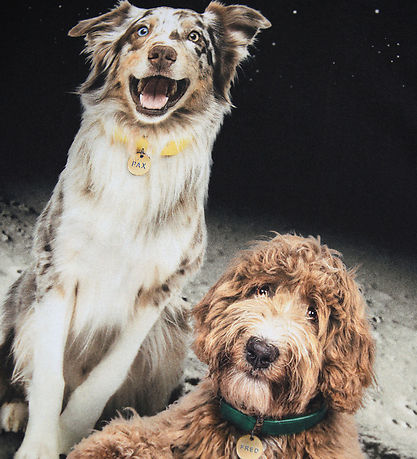 Molo Bluse - Reif - Moon Friends