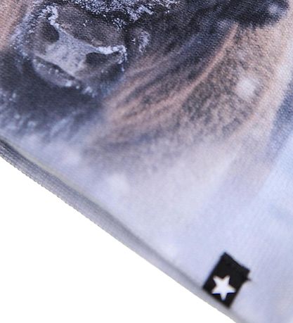 Molo Hue/Handsker - Kaya - Bison Close Up