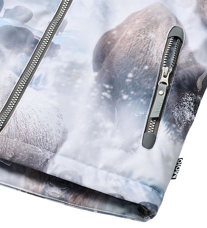 Molo Vinterjakke - Castor - Bison