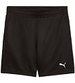 Puma Shorts - ESS Training Poly - New Navy