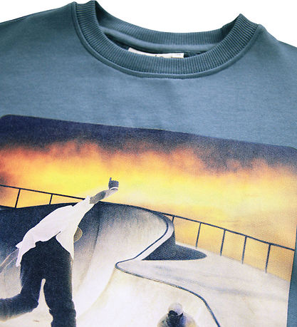 Molo Sweatshirt - Monti - Park Skaters