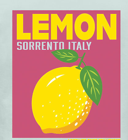 Kids Only T-shirt - KogCarina - Loose - Wan Blue/Dolce Vita