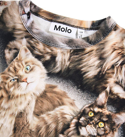 Molo Bluse - Rill - Cattitudes