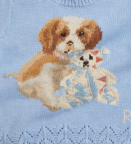 Polo Ralph Lauren Bluse - Strik - Chambray Blue