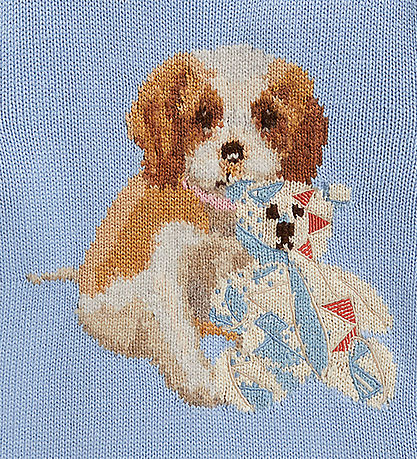 Polo Ralph Lauren Bluse - Strik - Chambray Blue