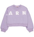Marni Sweatshirt - Light Violet