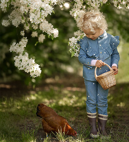 Hanevild Skjorte - Heart - Denim m. Hjerter