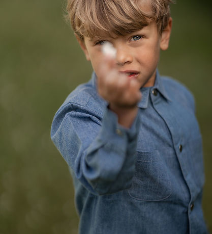 Hanevild Skjorte - Denim