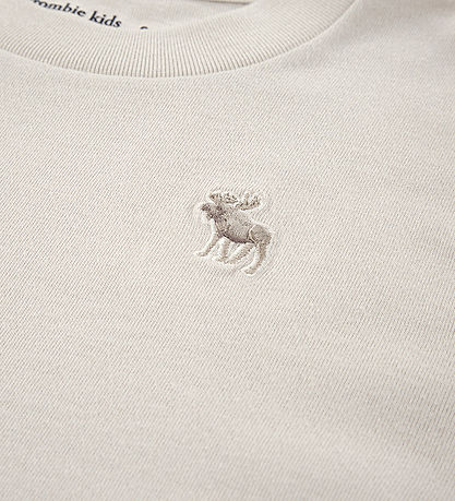 Abercrombie & Fitch T-shirt - Pumice Stone