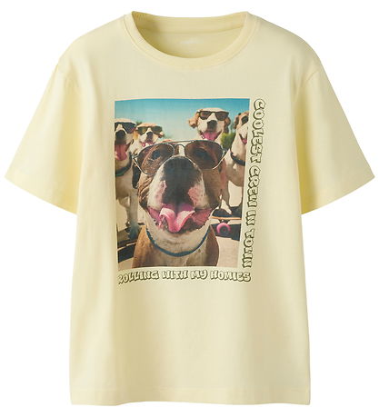 Name It T-shirt - NkmVoto - Pear Sorbet/Homies