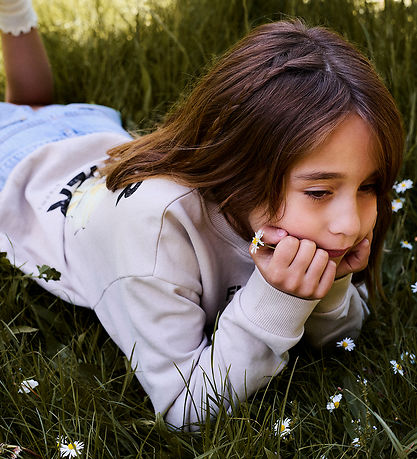 Name It Sweatshirt - NkfDifo - Chateau Gray