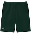 Lacoste Sweat Shorts - Host