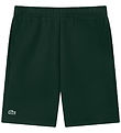 Lacoste Sweat Shorts - Host