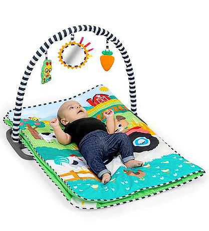 Baby Einstein Aktivitetstæppe - Busy Barnyard