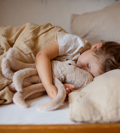 Senger Naturwelt Bamse - Blæksprutte - Lille - Powder