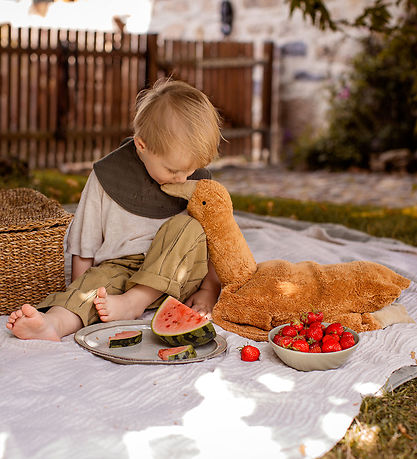 Senger Naturwelt Bamse - Gås - Stor - Rust