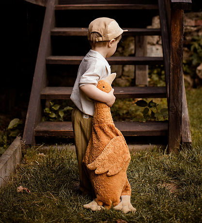 Senger Naturwelt Bamse - Gås - Stor - Rust