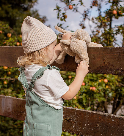 Senger Naturwelt Bamse - Elefant - Lille - Linen