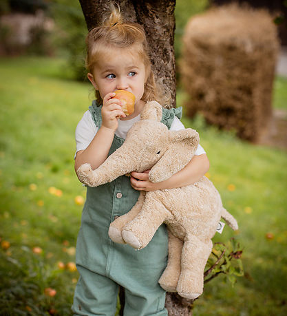 Senger Naturwelt Bamse - Elefant - Stor - Linen